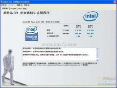 Intel Processor Identificationv20.8VIPð